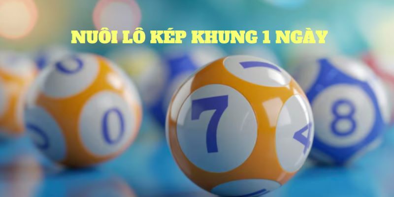 Tìm hiểu soi cầu lô kép miền Bắc là gì