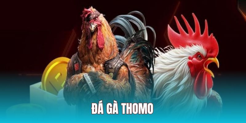 đá gà thomo ảnh đại diện