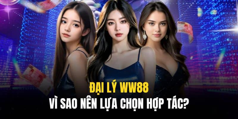 Người hợp tác cần tuân thủ